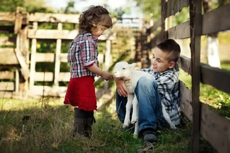 Les animaux de la mini ferme pour passer des supers vacances en famille avec les enfants