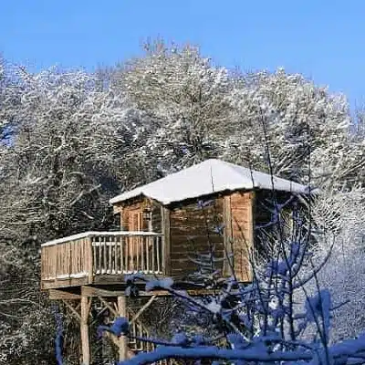 cabane dans les arbres sous la neige