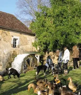 Une activité de vacances écologiques en famille: le moulin de Vanneau