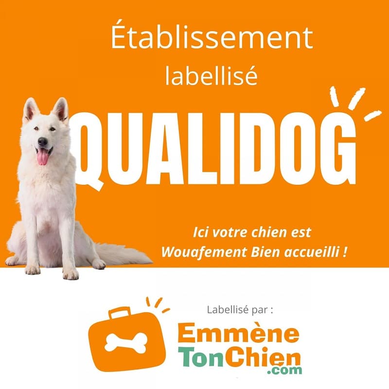 label qualidog chiens bienvenus