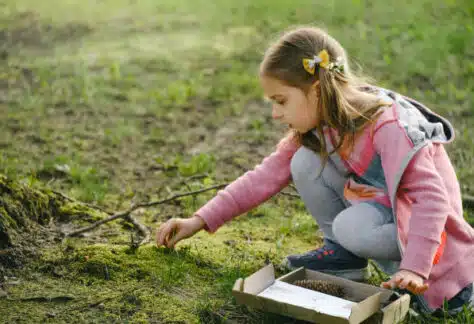 nature et vacances écologiques